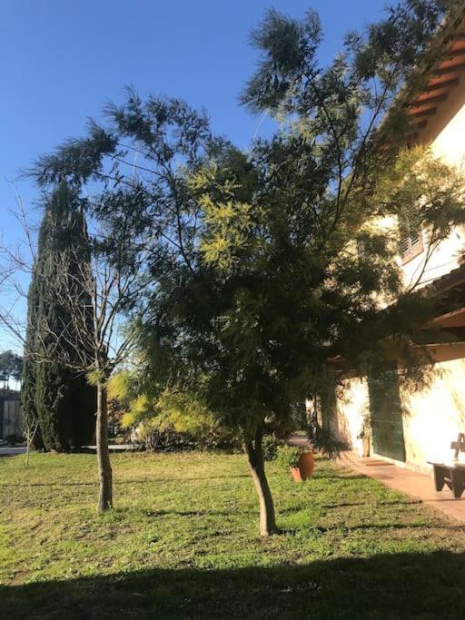 Casa Isabelle Apartman Canneto  Kültér fotó