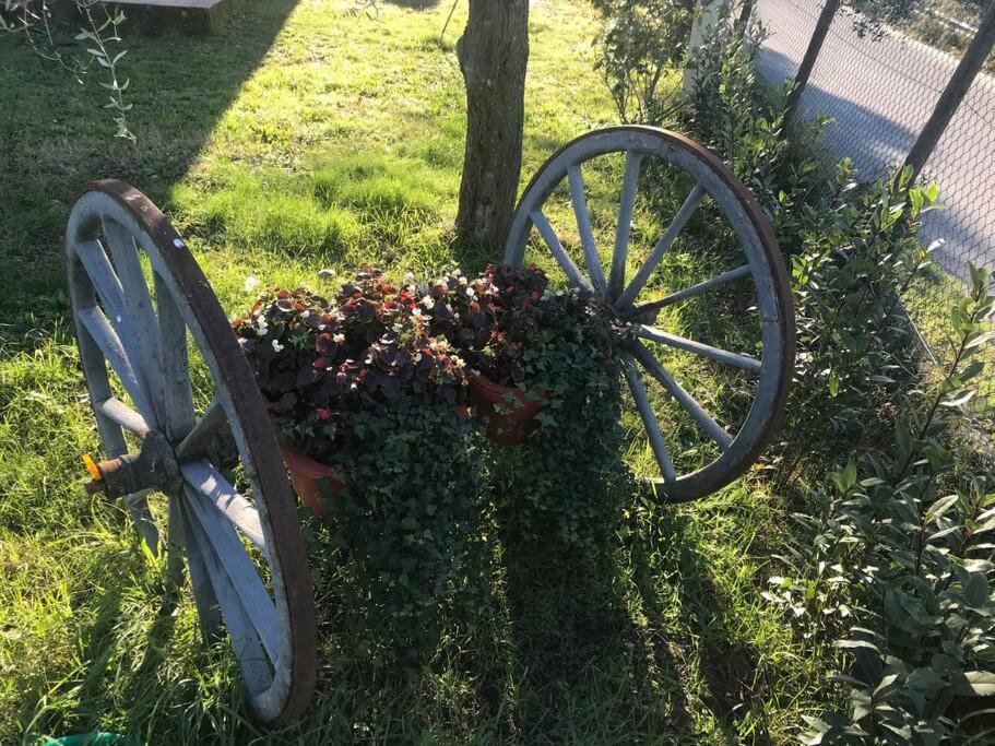 Casa Isabelle Apartman Canneto  Kültér fotó