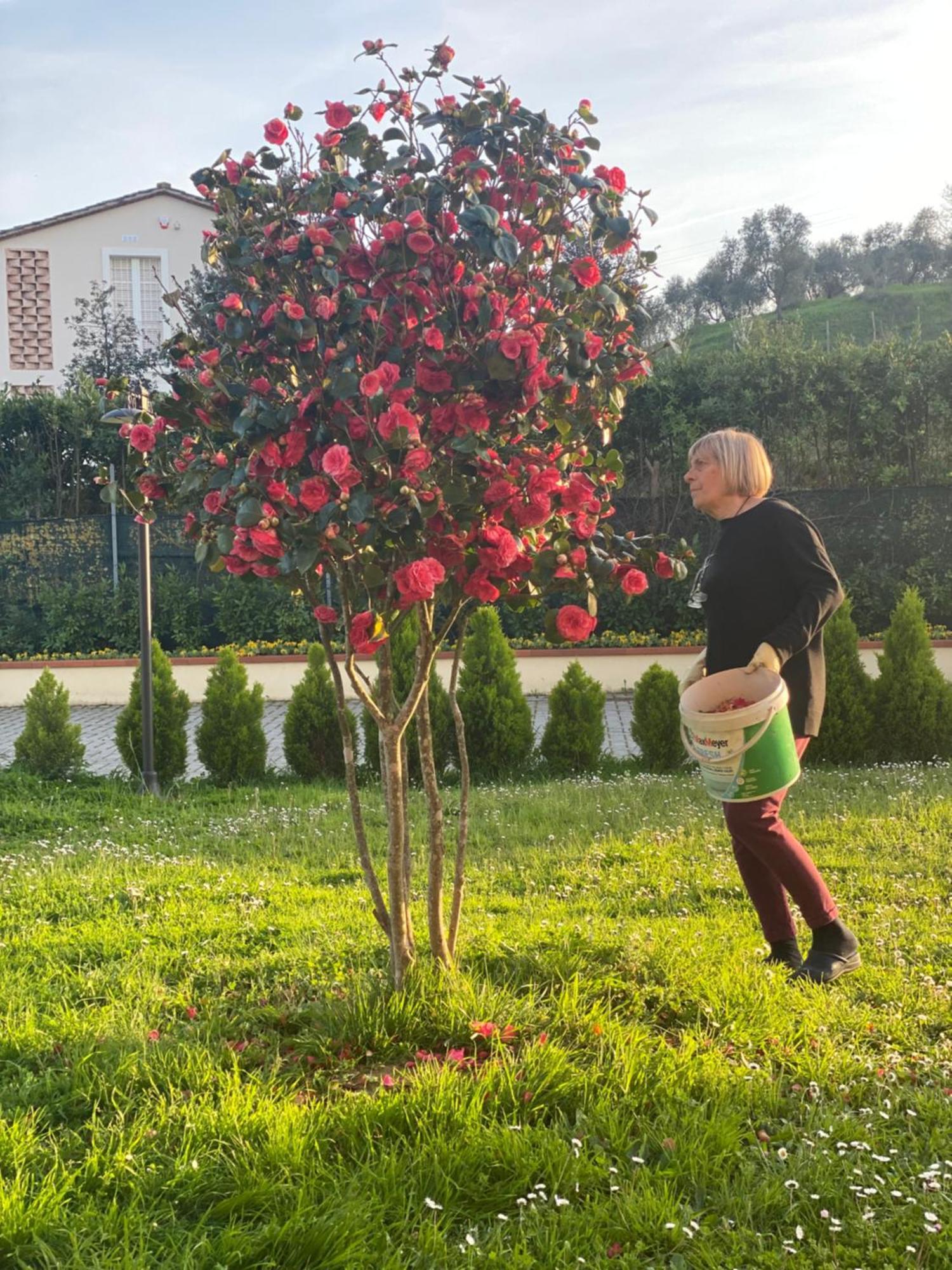 Casa Isabelle Apartman Canneto  Kültér fotó